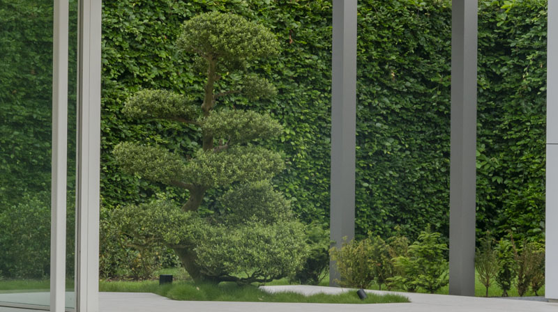 Tuin Van Heden Wellnesstuin Weelde