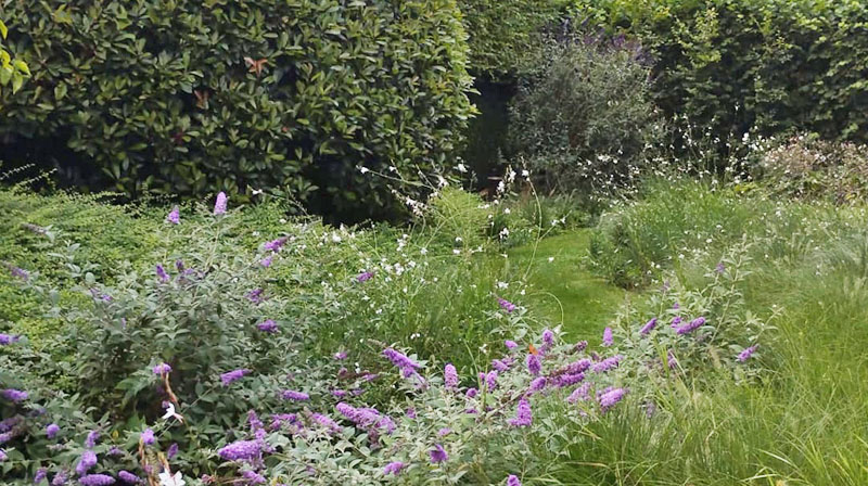 Tuin Van Heden Vogel- en vlinderparadijs Merksplas