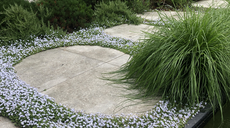 Tuin Van Heden Relaxtuin met zwemvijver Turnhout