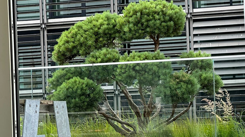 Tuin Van Heden Luxueuze daktuin met uitzicht op het MAS Antwerpen