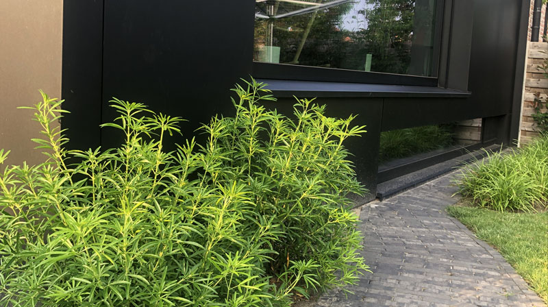 Tuin Van Heden Beleeftuin voor jong gezin Oud-Turnhout